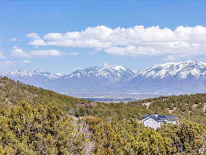 View of mountain backdrop with a forest