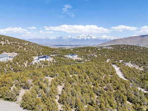 View of mountain backdrop with a forest