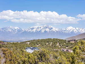 View of mountain background featuring a heavily wooded area