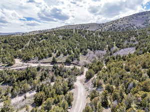 Drone / aerial view of a mountainous background and a forest