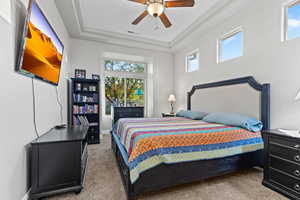 Bedroom featuring a tray ceiling, carpet, and a ceiling fan