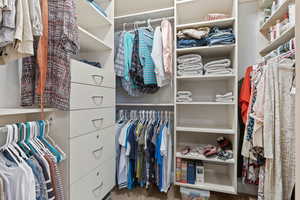 Walk in closet featuring carpet floors