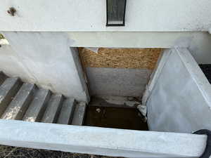 View of Basement Walkout