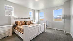 Master Bedroom with dark colored carpet, multiple windows, and a textured ceiling