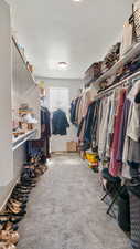 Spacious closet featuring light carpet