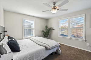 Carpeted bedroom with multiple windows and a ceiling fan