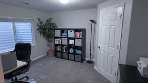 Carpeted office space with baseboards