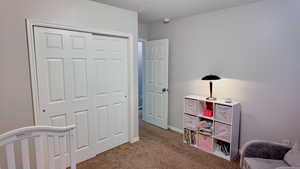 Bedroom featuring carpet floors, a closet, and a textured ceiling