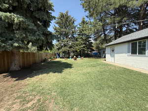 View of fenced backyard