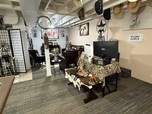 Interior space with dark carpet