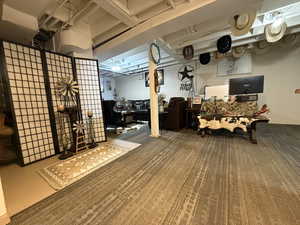 View of finished below grade area