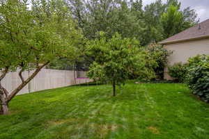 View of yard featuring a trampoline
