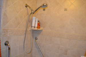 Bathroom view of a tile shower