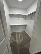 Walk in closet with carpet floors