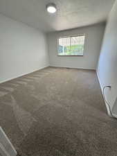 Unfurnished room with crown molding, carpet, and a textured ceiling