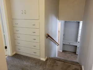 Staircase with carpet flooring and built-in cabinets