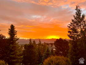 View of mountain background featuring a heavily wooded area