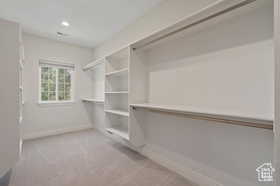 Walk in closet with light carpet