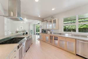 Amazing kitchen; Kitchen Air Professional Series appliances included