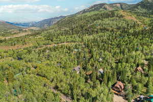 Aerial view of property's location featuring mountains and a forest