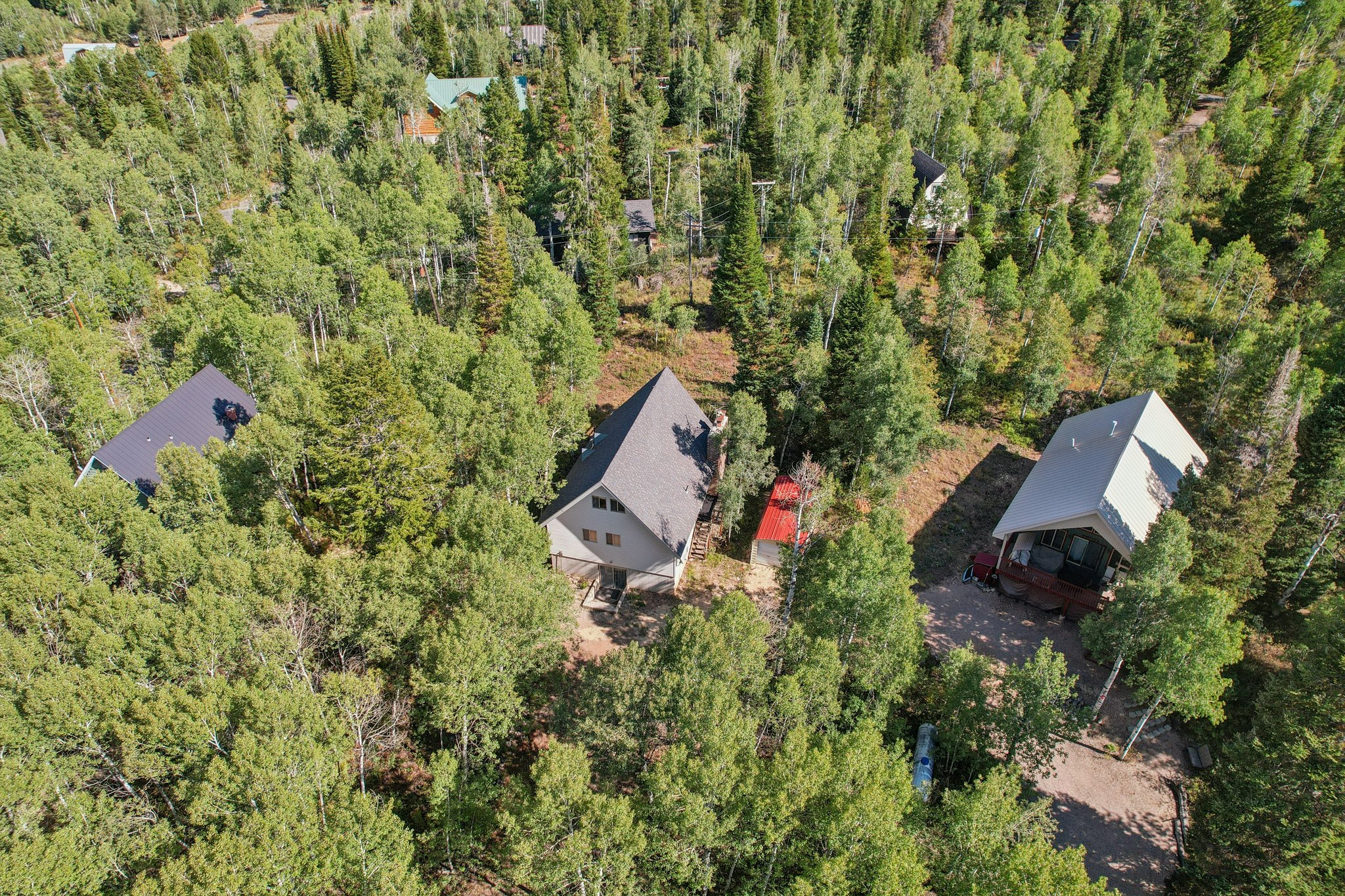 Drone / aerial view of a heavily wooded area