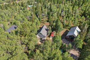 Drone / aerial view of a heavily wooded area