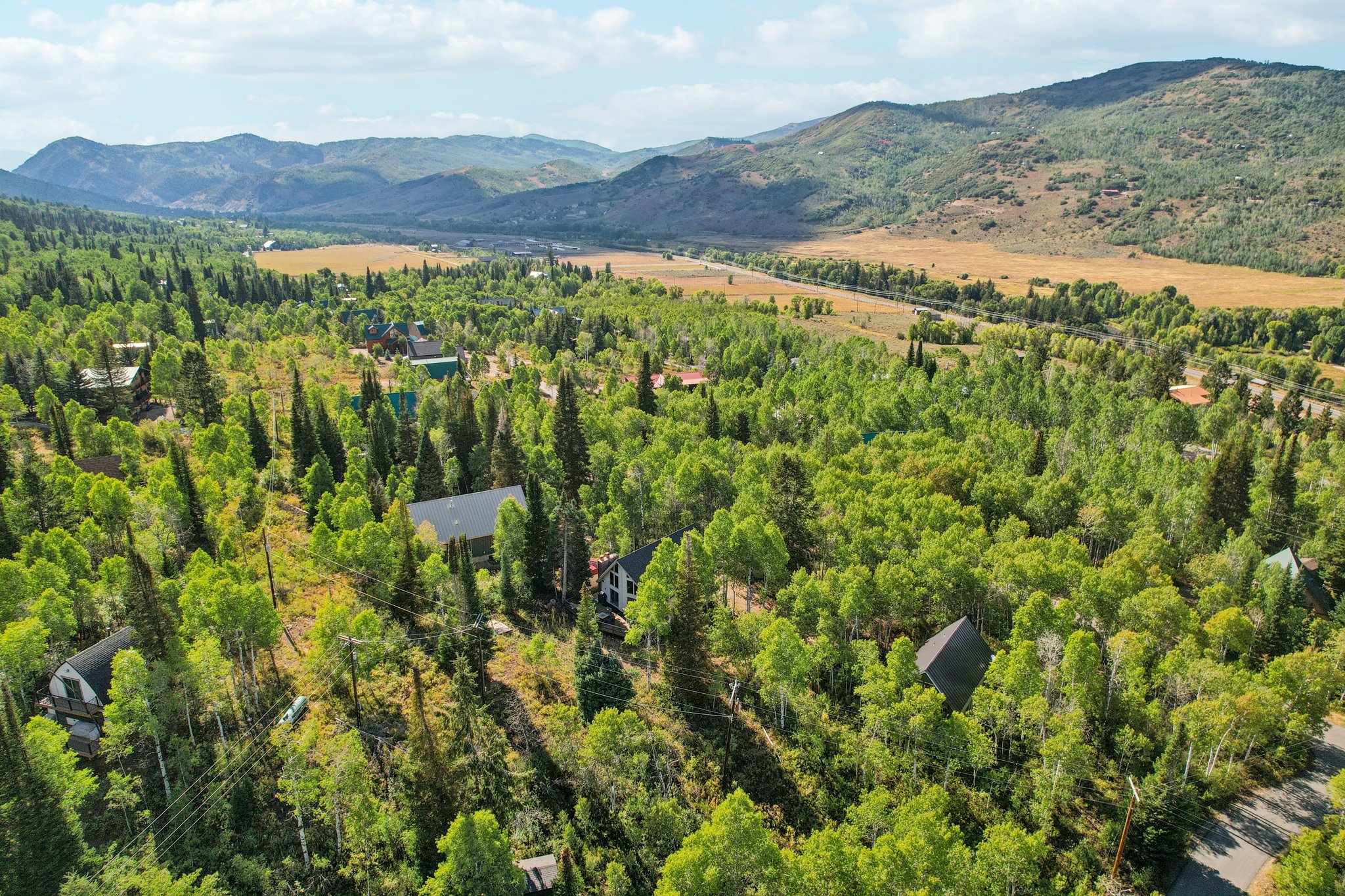 Bird's eye view of a mountainous background and a forest