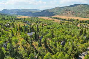 Bird's eye view of a mountainous background and a forest