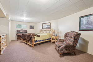 Bedroom with carpet