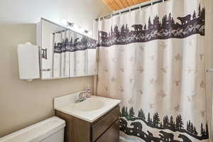 Bathroom featuring vanity and curtained shower