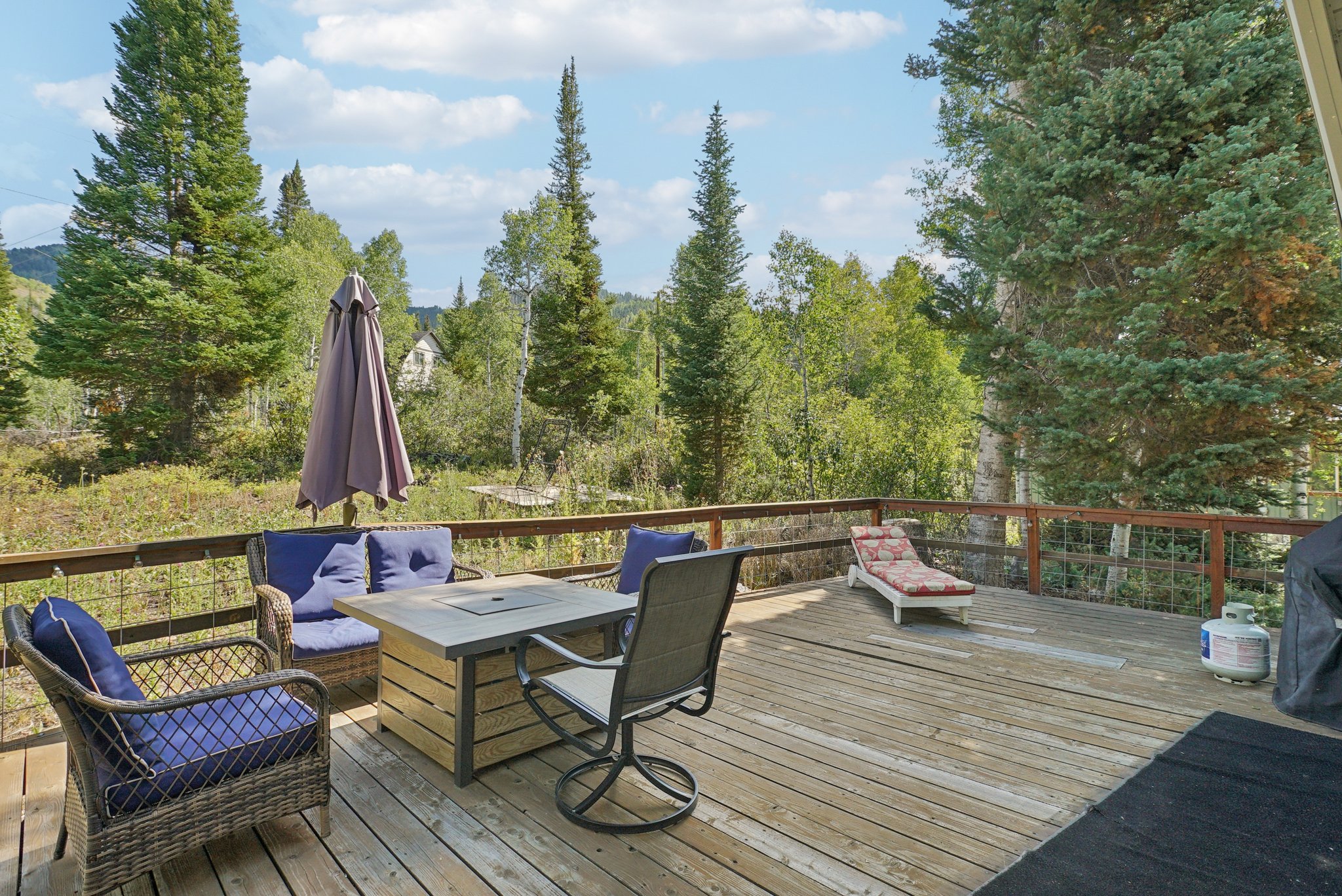 Deck with a grill