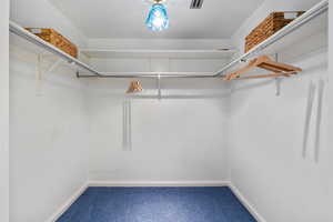 Walk in closet featuring carpet