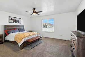 Primary Bedroom, with walk in closet and primary bathroom