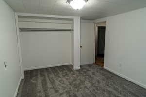 bedroom featuring carpet and a closet