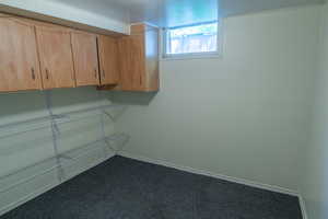 Spacious closet featuring  colored carpet