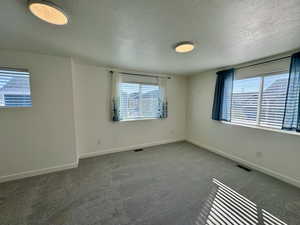 Empty room featuring plenty of natural light, a textured ceiling, and carpet flooring