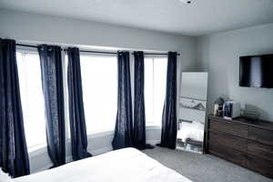 Bedroom with light colored carpet, a textured ceiling, and a textured wall