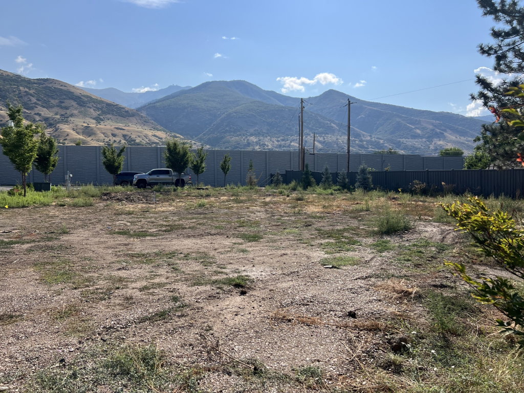 View of mountain background