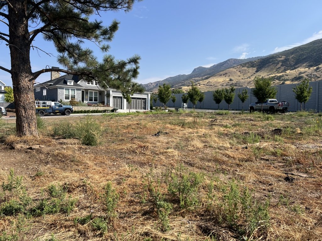 View of yard featuring a mountain view