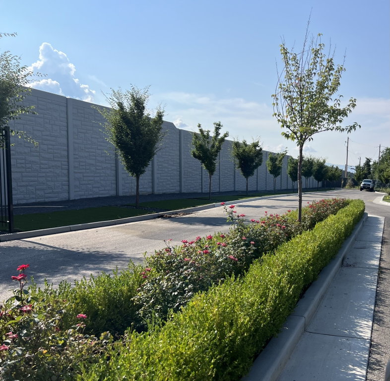 View of asphalt street with curbs