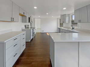 Kitchen featuring stainless steel appliances, recessed lighting, dark wood-style flooring, a peninsula, and gray cabinetry