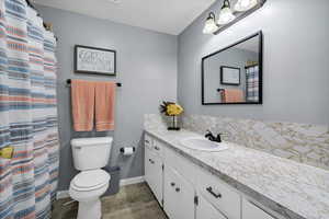 Bathroom featuring vanity, tasteful backsplash, and curtained shower