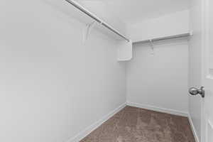 Spacious closet with dark colored carpet