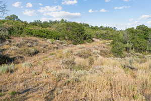 View of undeveloped land