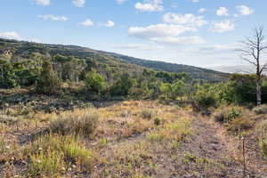 View of mountain background