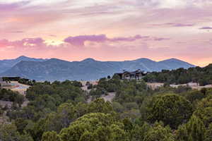 Mountain view featuring a forest