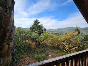 View of mountain backdrop featuring a heavily wooded area