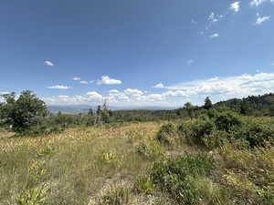 View of undeveloped land featuring rural landscape