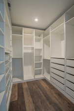 Walk in closet featuring dark wood-style flooring