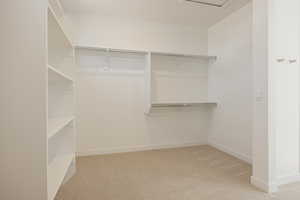 Spacious closet featuring light carpet